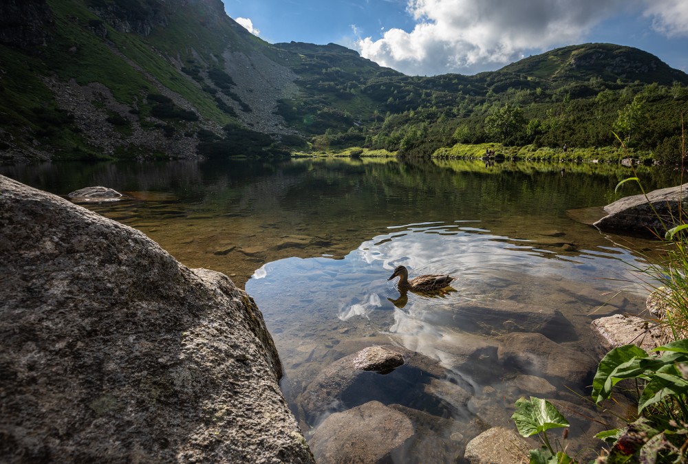 Roháčske pleso