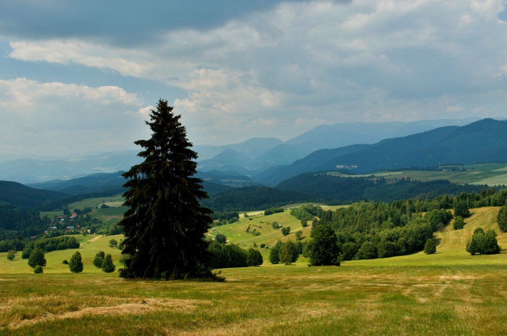 Lúky nad Povrazníkom a panoráma Nízkych Tatier