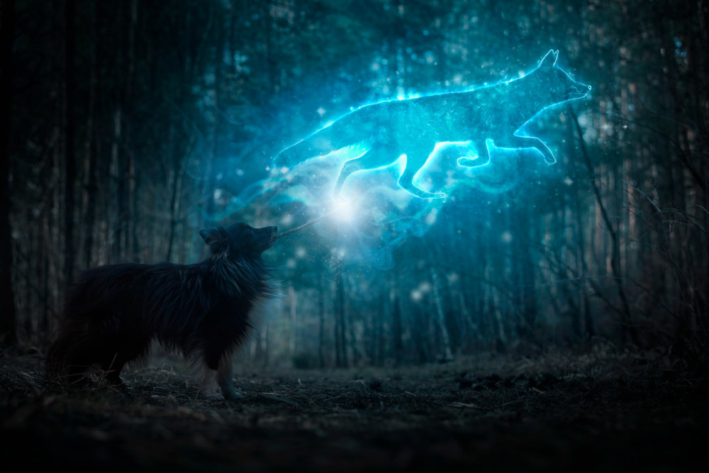 Patronus