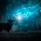 Patronus