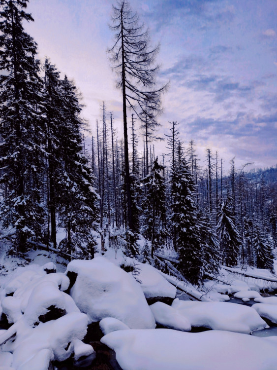 Tatry