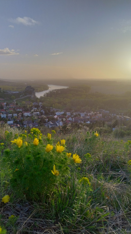 hrad Devín