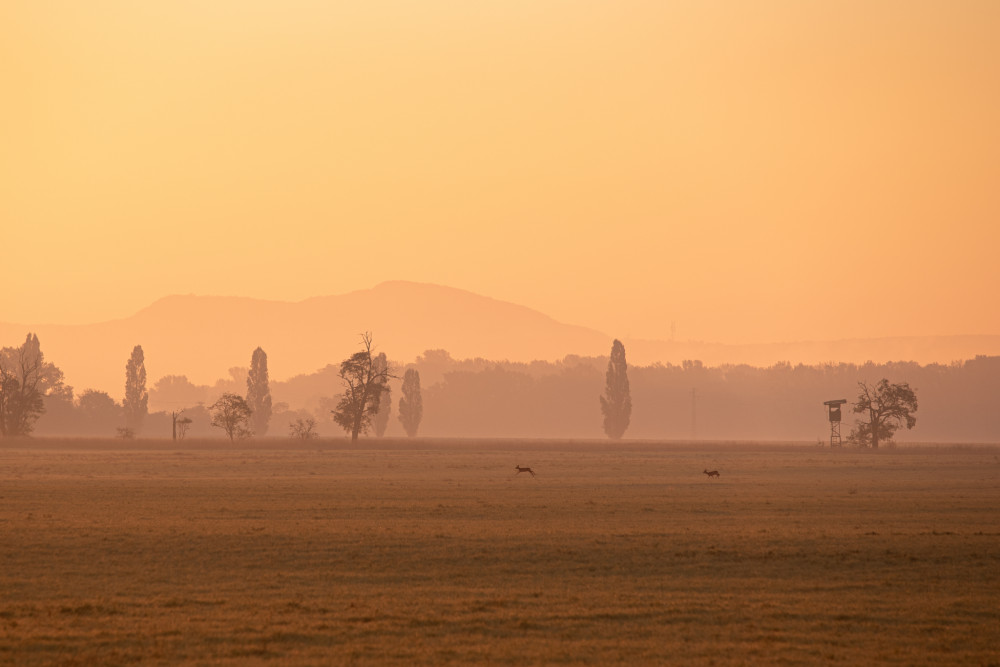 Autumn morning