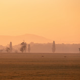 Autumn morning