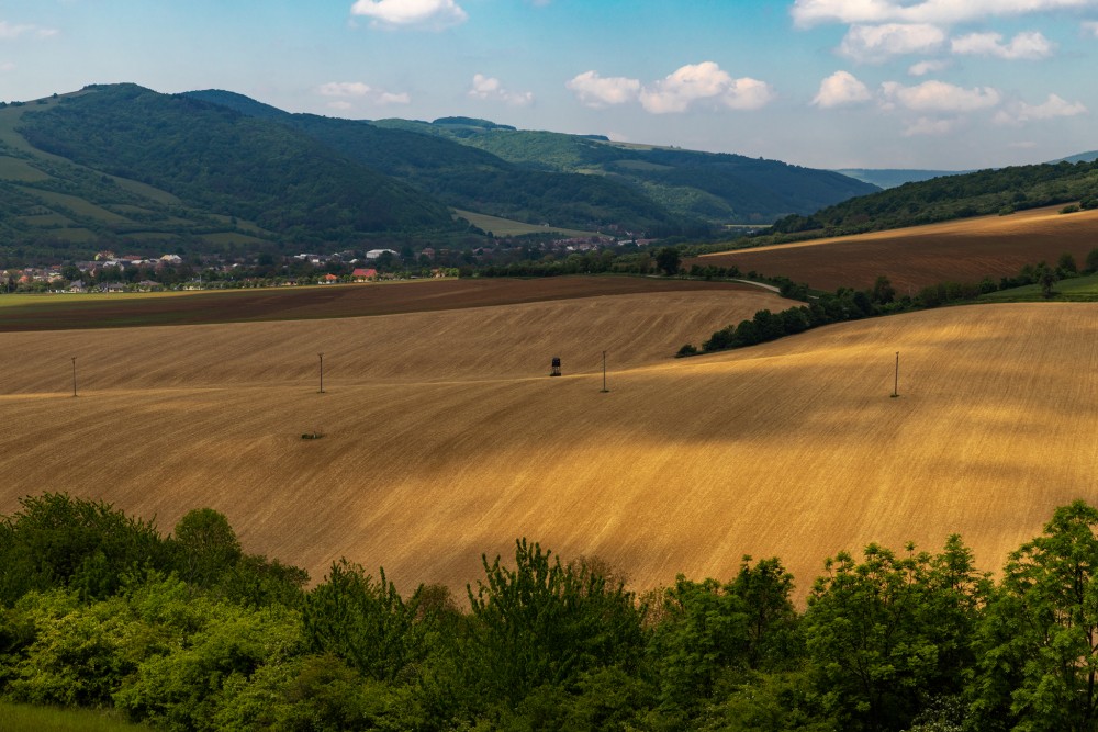 Bošaca