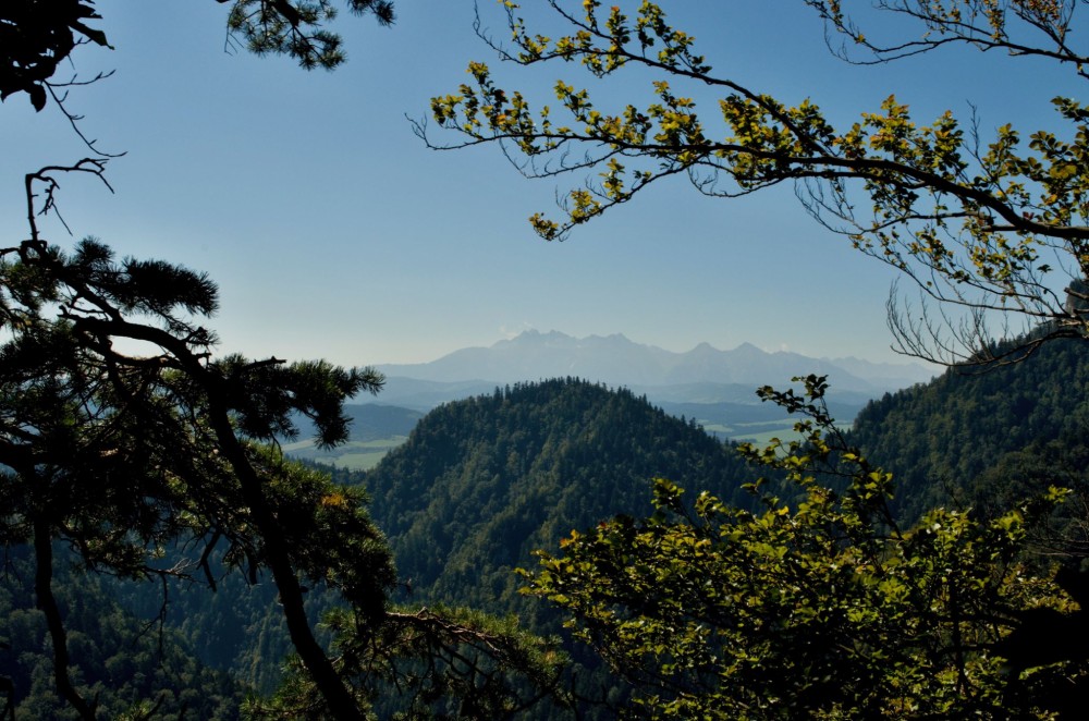 Vysoké Tatry z Pienin