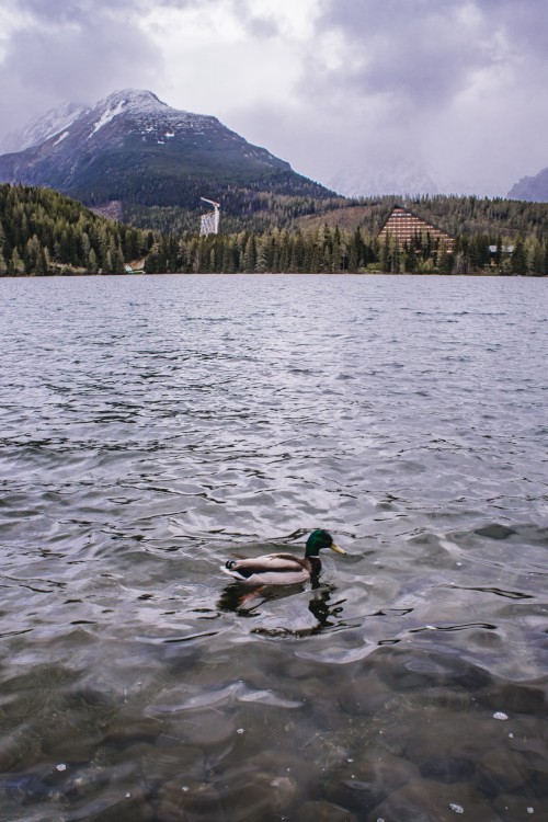 Štrbské pleso