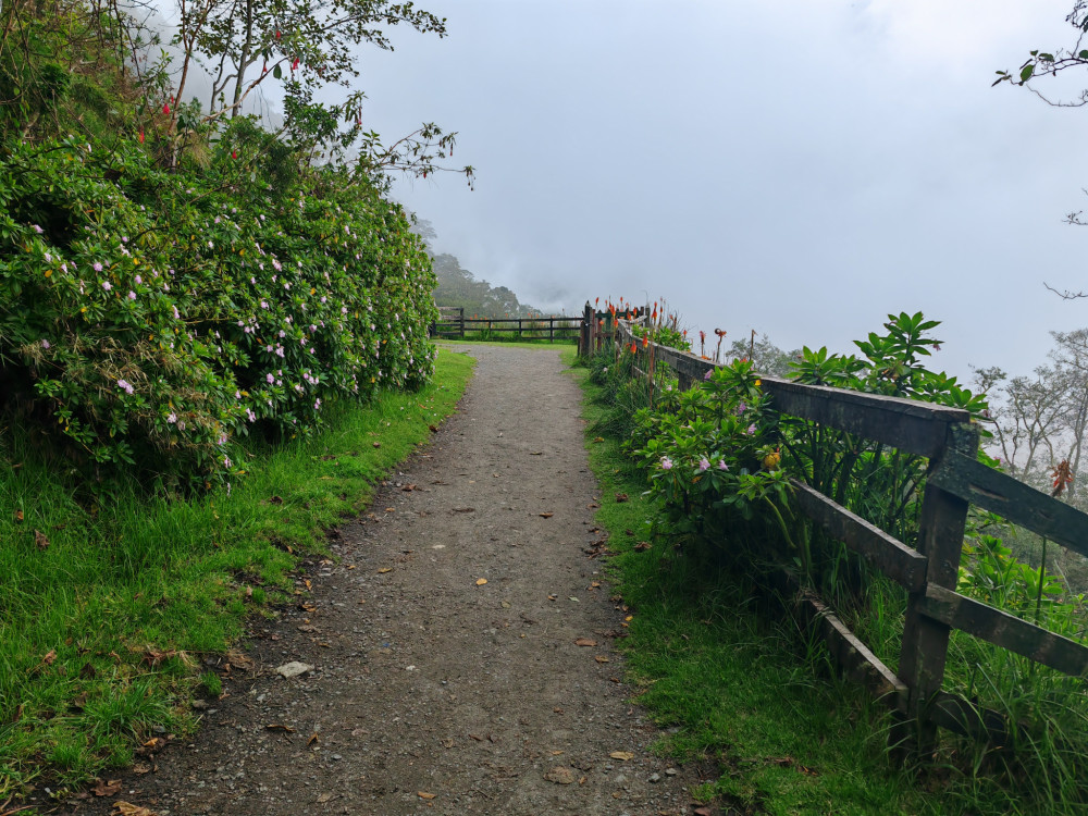 Trek- Valley de Cocora