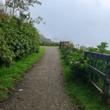 Trek- Valley de Cocora