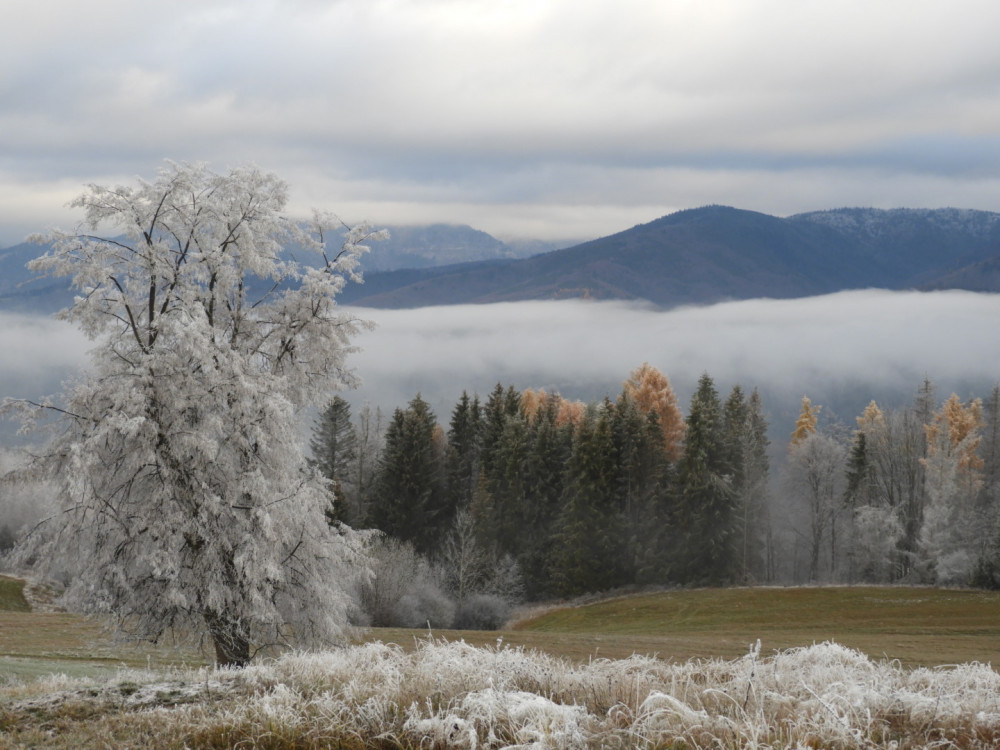 Pohľad na Nízke Tatry