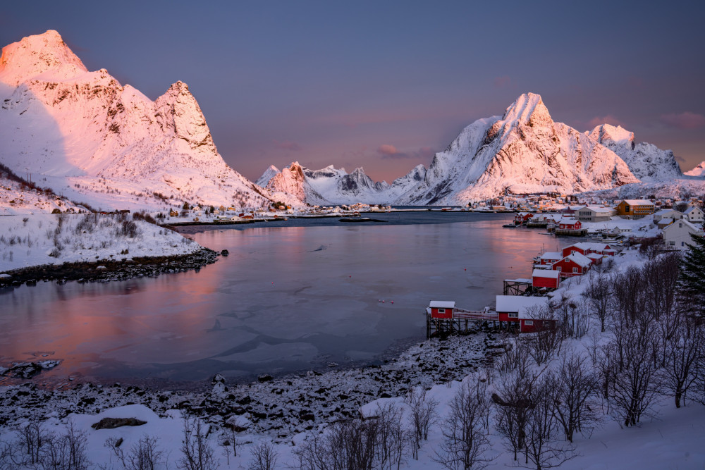 Reine