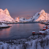 Reine