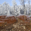 Hranica medzi odchádzajúcou jeseňou a prichádzajúcou zimou