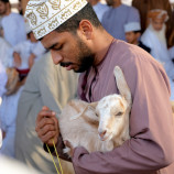 Goat suq Nizwa 1