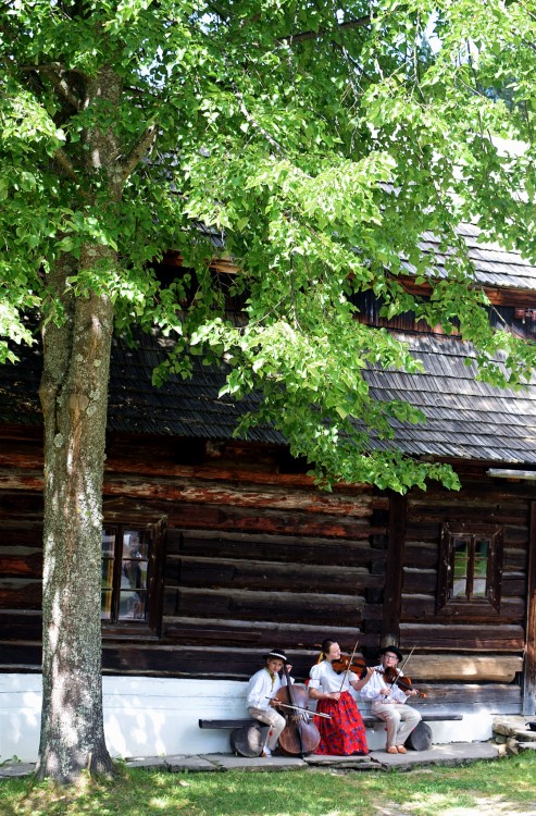 malí hudobníci v Zuberci, Slovensko