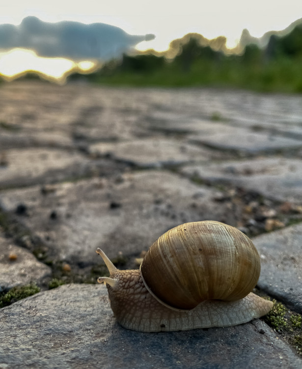 Pomaly ďalej zájdeš