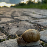 Pomaly ďalej zájdeš