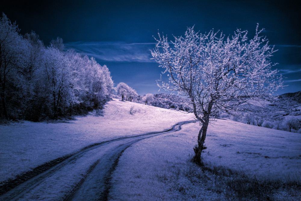 Country road