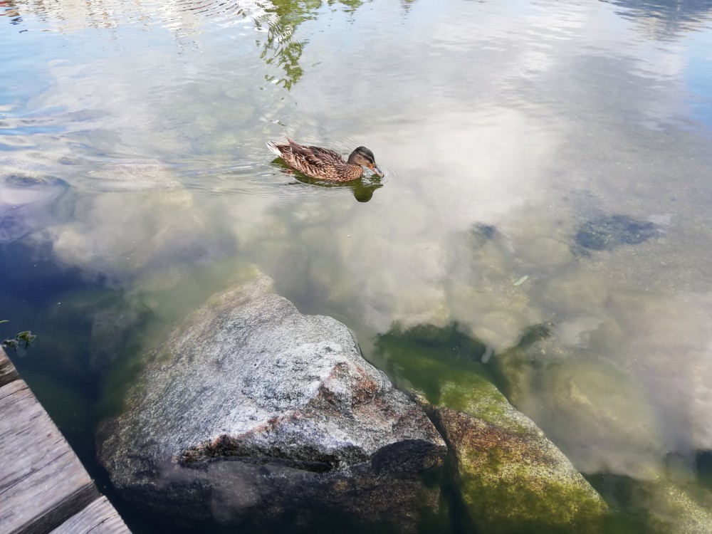 Štrbské Pleso, Vysoké Tatry