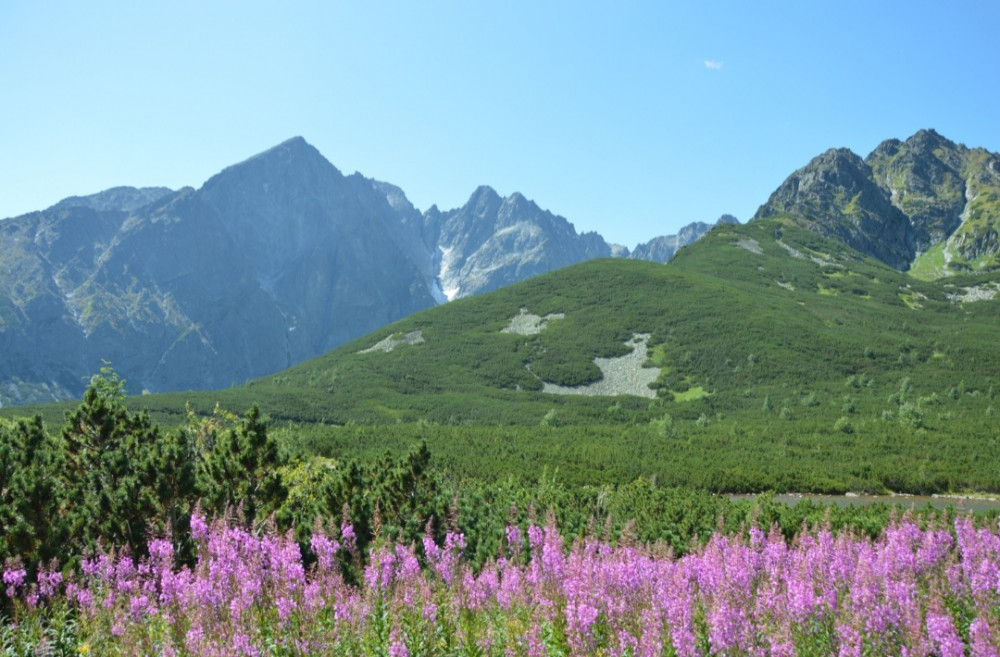 Tatry v strede letného dňa