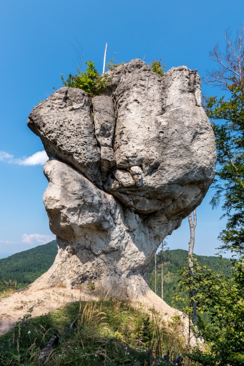 Stratený budzogáň