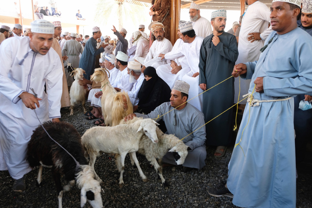 Goat suq Nizwa 2