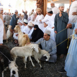 Goat suq Nizwa 2