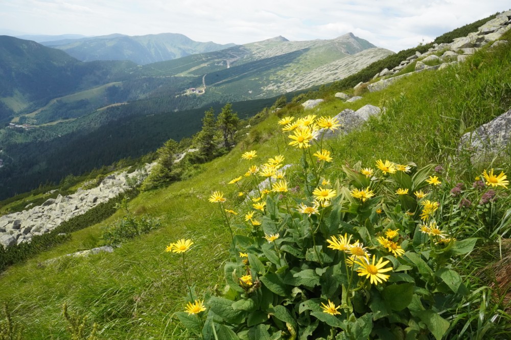 Nízke Tatry - Chopok