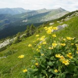 Nízke Tatry - Chopok