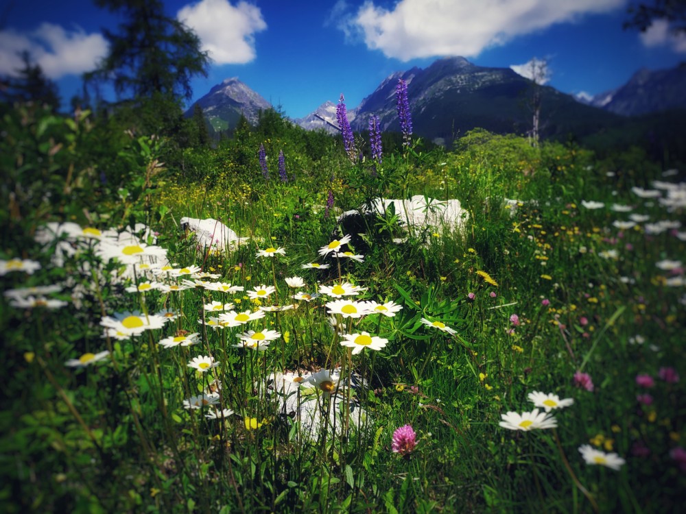 Štrbské pleso