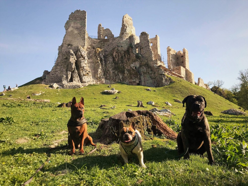 Výlet na Hrušovský hrad