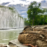 Park v Košiciach s portrétom