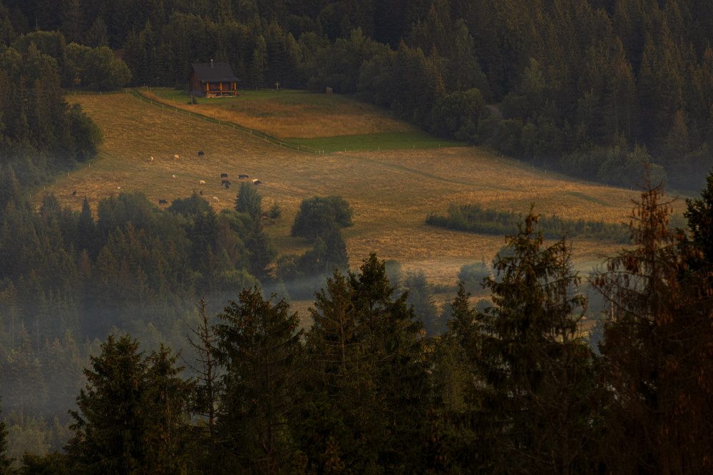 Oravska lesná