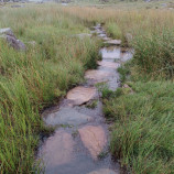 Hiking in the rain