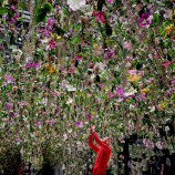 Floating garden Tokio