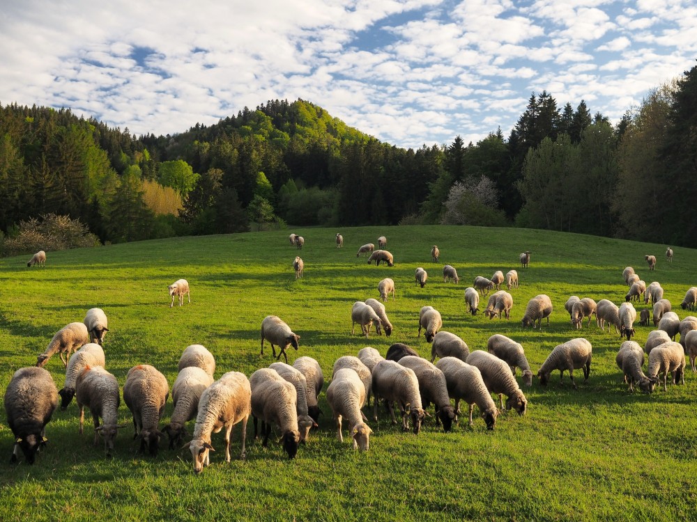 Podvečer nad Banskou Bystricou