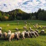 Podvečer nad Banskou Bystricou