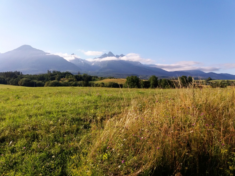 Tatry