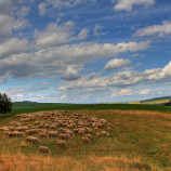 Pod holým nebom