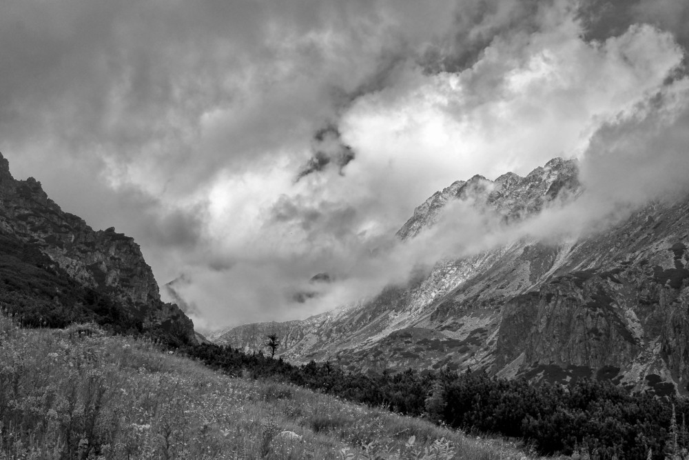 Mlynická dolina z cyklu Vysoké Tatry