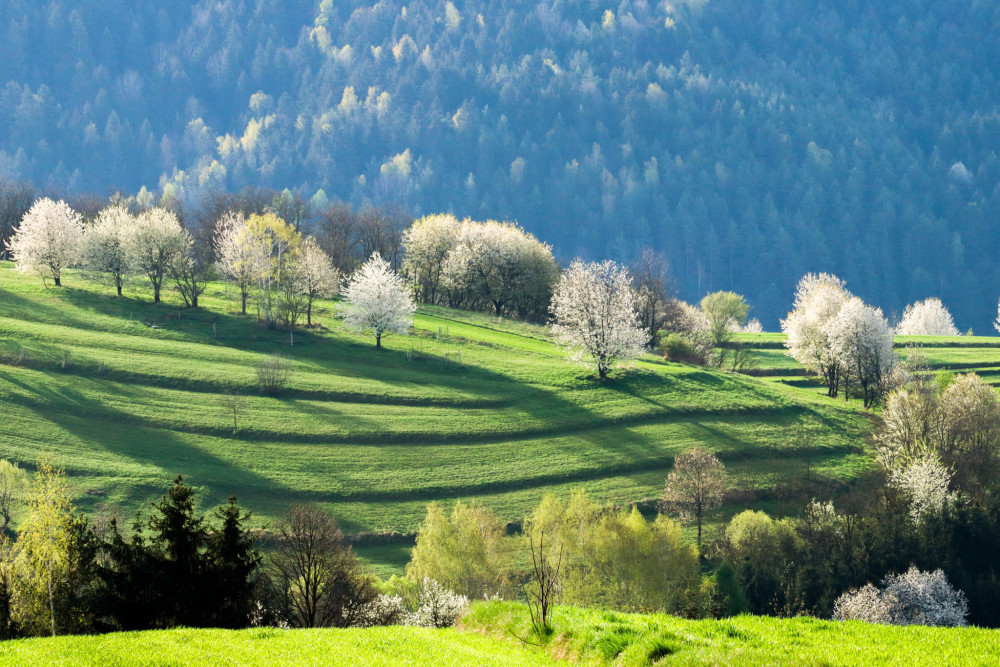 Hričovské lazy