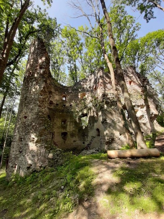 Zrucania Dobrovodskeho hradu