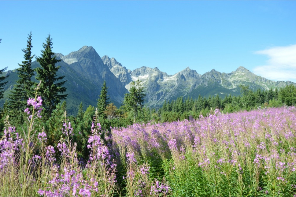 Tatry na poludnie