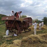 Žatva