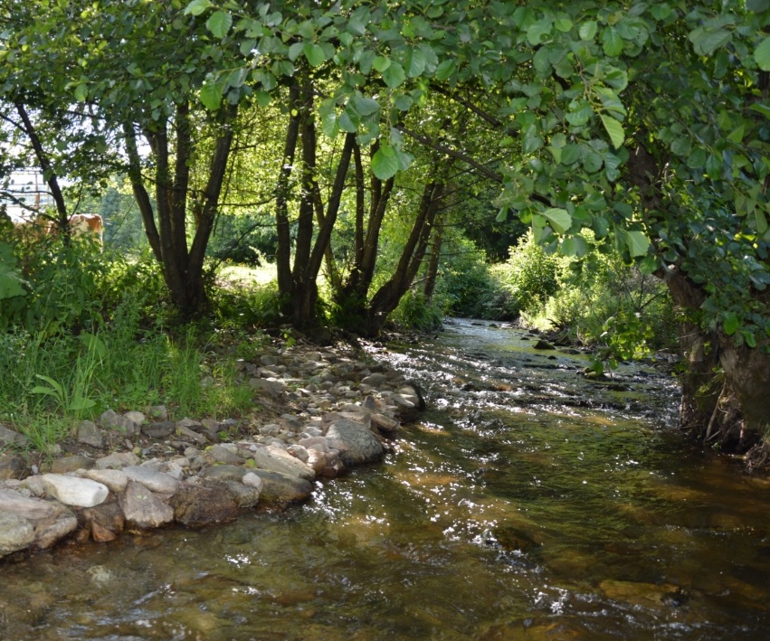 Kolorit dediny na Slovensku