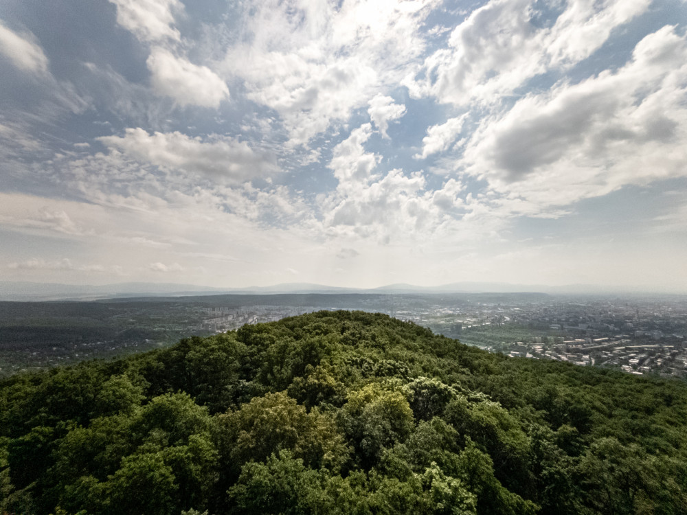 View point