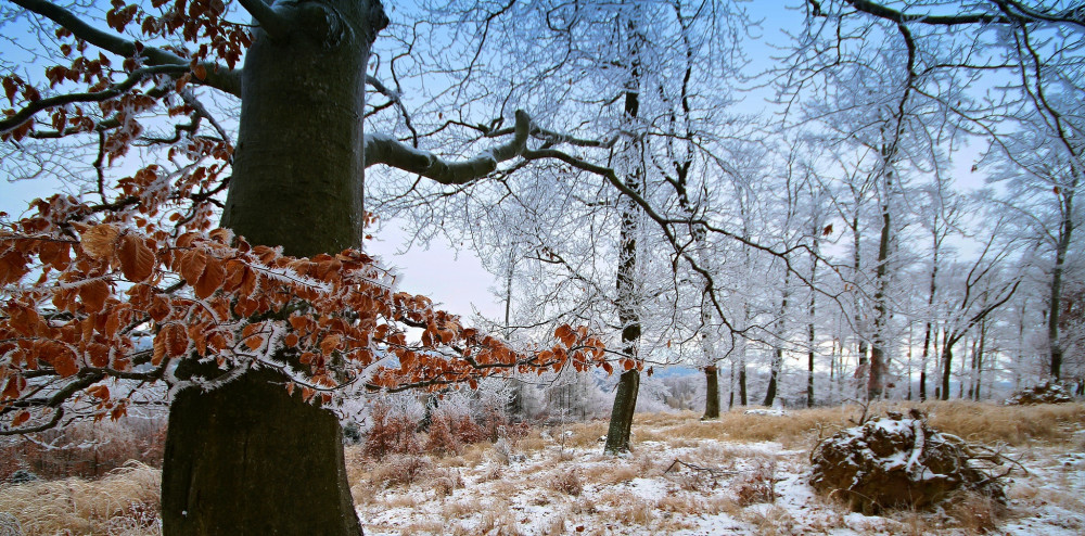 Zimná krajina.