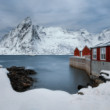 Reine